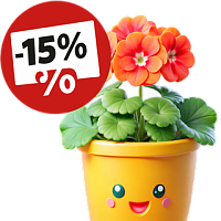 Скидка на семена пеларгонии